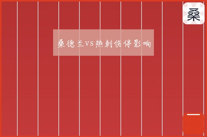 桑德兰vs热刺伤停影响